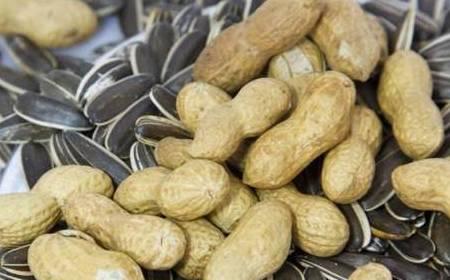 吃瓜花生,揭秘娱乐圈背后的甜蜜与苦涩