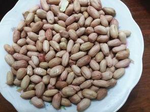 吃瓜花生,揭秘娱乐圈背后的甜蜜与苦涩