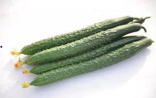 绿绒瓜怎么吃,探索美味与营养的完美融合