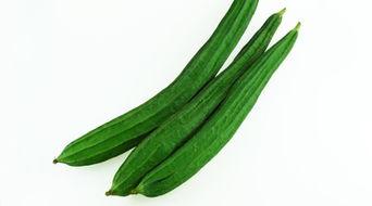 河北6人吃瓜,一场意外的“瓜田”风波