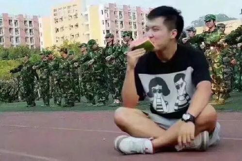 吃瓜群众cj真名,探寻网络红人的真实身份与故事