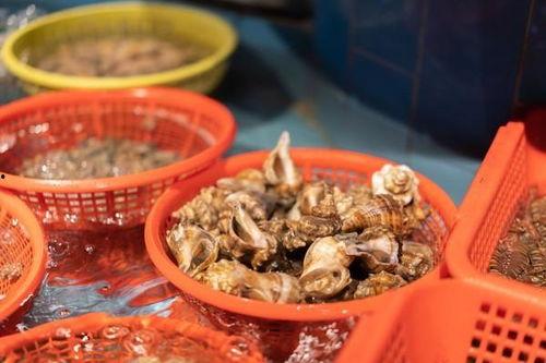 动车站吃瓜,一场美食与旅行的邂逅