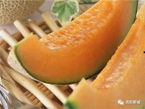 吃了哈密瓜吃山药行吗,健康搭配新体验