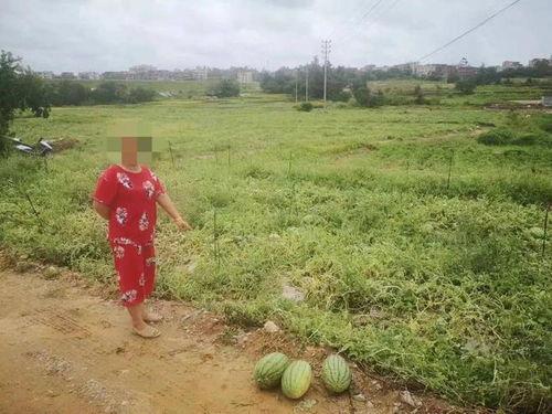 吃瓜群众泉州,吃瓜群众眼中的美食天堂