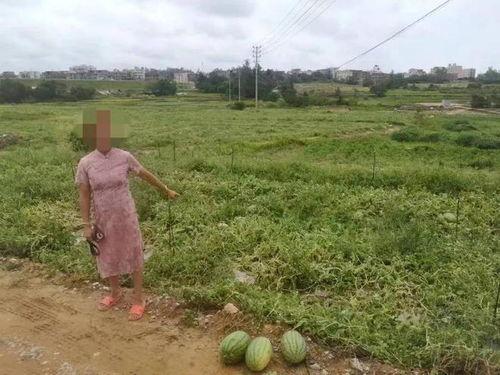 吃瓜群众泉州,吃瓜群众眼中的美食天堂