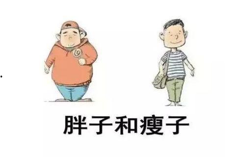 瘦子喝脲胖子吃瓜,揭秘健康饮食的奇妙平衡