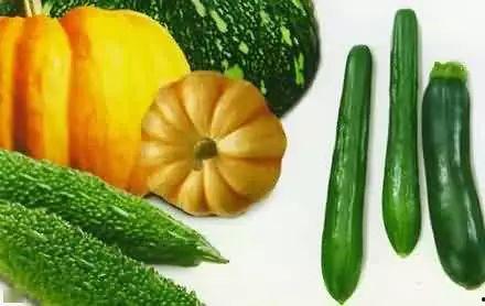 荥经梓潼宫吃瓜,探寻古蜀文化，品味夏日清凉瓜果盛宴