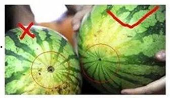 阜阳人吃瓜视频,一场吃瓜视频引发的全民热议