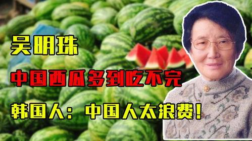 山东人吃瓜不完,瓜果飘香，尽享丰收盛宴