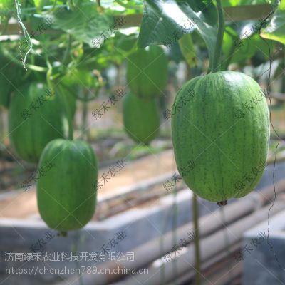 吃瓜春秋,揭秘娱乐圈背后的故事与真相