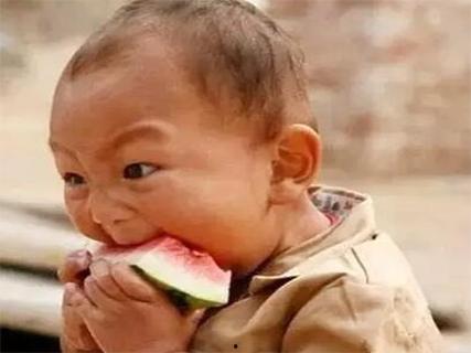 阿呆吃大瓜,一场爆笑的美食冒险之旅