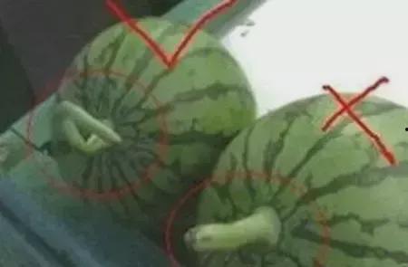 吃瓜新圈,揭秘娱乐圈幕后故事