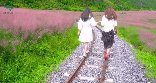 春情荡漾 吃瓜,一场春情荡漾的甜蜜盛宴