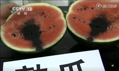 新沂吃瓜道歉视频,一场网络舆论的反思与自省