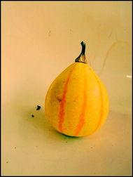 新沂吃瓜道歉视频,一场网络舆论的反思与自省