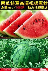 新沂吃瓜道歉视频,一场网络舆论的反思与自省