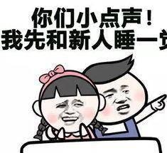 舍友吃瓜文案搞笑,笑料连连，一场欢乐的“瓜田”盛宴