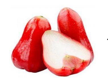 莲雾吃瓜网站,揭秘网络红人幕后故事