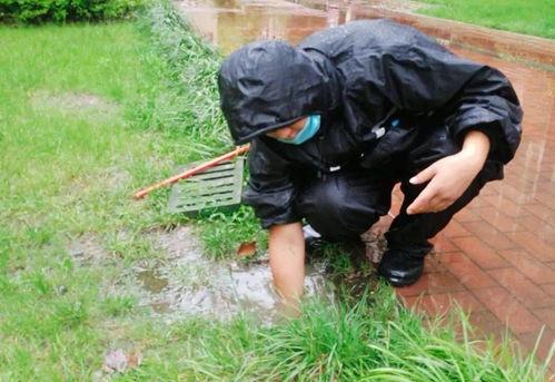 吃瓜披巾斩棘,揭秘娱乐圈背后的风云变幻