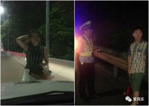 迷路的吃瓜,一场意外引发的趣味冒险之旅