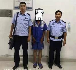 吃瓜警察调查,网络舆论背后的真相与反思