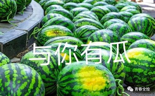 吃瓜哈工大,吃瓜群众眼中的校园风云录