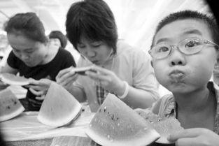 吃瓜大赛陪读,见证瓜界风云，笑谈娱乐圈百态