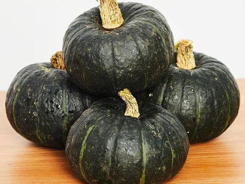 石头吃贝贝瓜,石头与贝贝瓜的奇妙邂逅