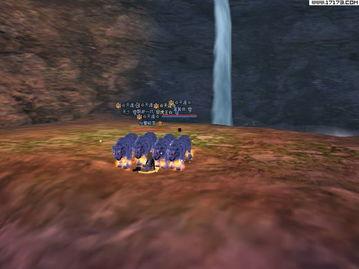 猛虎吃瓜,一场惊心动魄的生态大戏