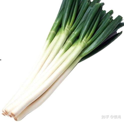 老板别放葱吃瓜,一场别开生面的美食盛宴