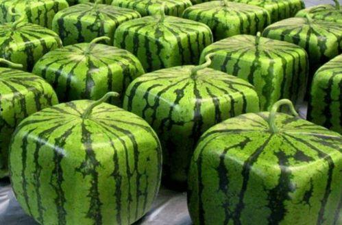 国内最全吃瓜中心,海量资讯，一网打尽娱乐圈风云