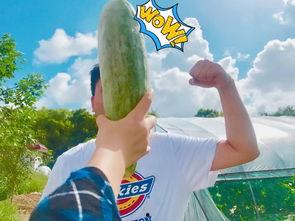 吃瓜网今日吃瓜网红