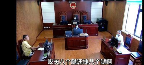 东北庭审法官吃瓜,东北法庭的幽默一幕