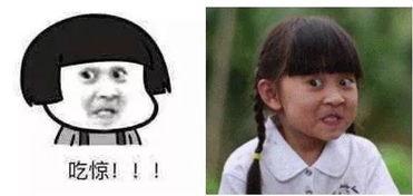 吃瓜舔屏,揭秘娱乐圈的舔屏瞬间