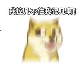 吃瓜舔屏,揭秘娱乐圈的舔屏瞬间