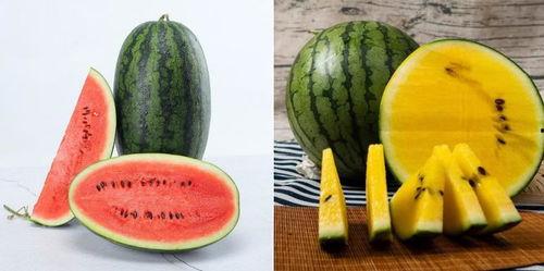 吃瓜是吃瓜要吃的人,品味生活，笑对人生百态