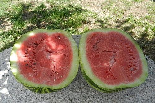 梦见别人都在吃瓜,揭秘“全民吃瓜”背后的神秘寓意