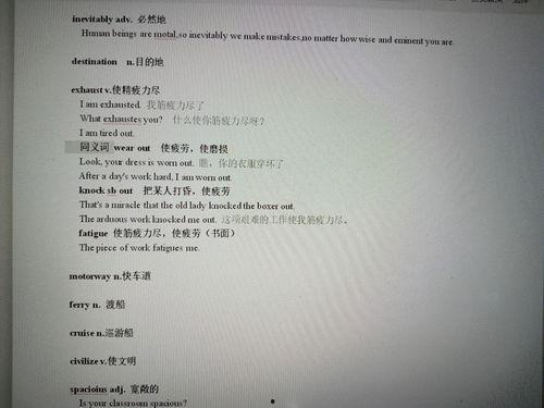 高考吃瓜总结,揭秘高考背后的趣味与真相