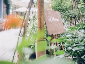 树下吃瓜拍照图,定格夏日美好时光