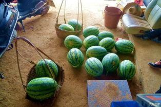 吃瓜去了,吃瓜群众背后的故事