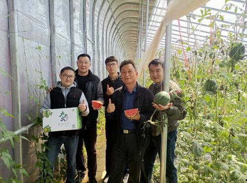 广电吃瓜,揭秘娱乐圈幕后真相