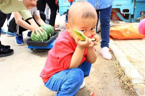 广电吃瓜,揭秘娱乐圈幕后真相