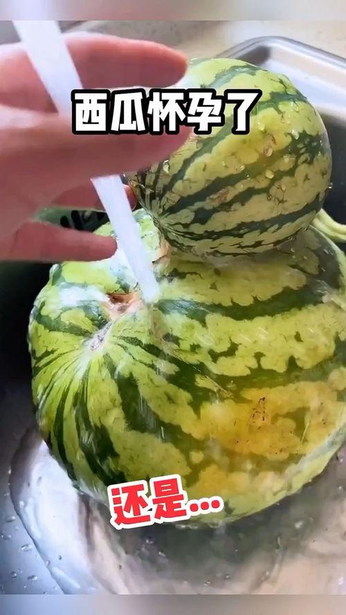 日本吃瓜搞笑视频,笑料百出，趣味横生