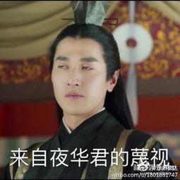 鉴定完毕男主吃瓜,鉴定完毕，男主的神秘吃瓜之旅