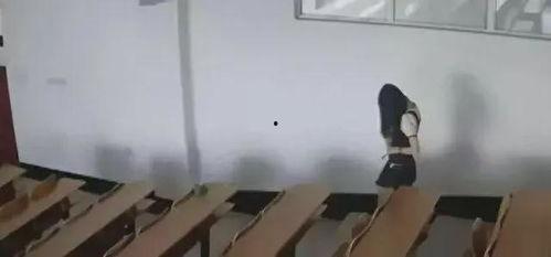 吃瓜墙大学,大学生社交新现象背后的故事