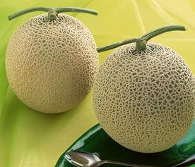 吃哈密瓜以后舌头麻了,揭秘舌头麻麻的秘密