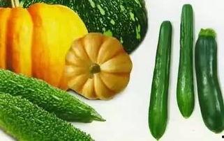 夏日吃瓜周岁照片大全,周岁萌娃秀