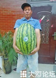 51吃瓜必吃大瓜,带你领略娱乐圈风云变幻