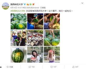 qq吃瓜学院,网络社交新潮流