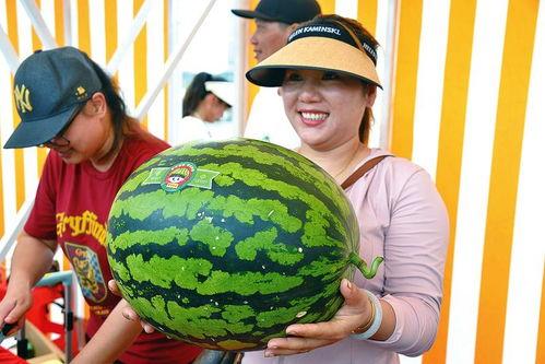 欢乐吃瓜视频,揭秘娱乐圈幕后故事